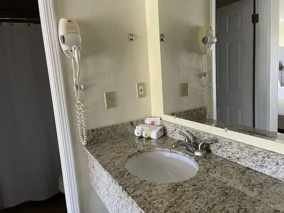 Room, 1 King Bed, Non Smoking (No Pets)