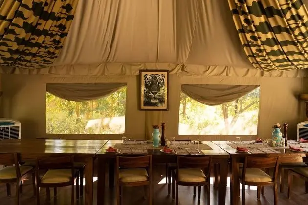 Deluxe Çadır