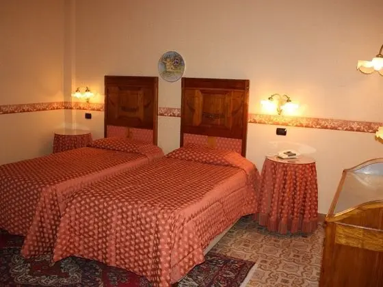 Superior Tek Büyük Yataklı Oda