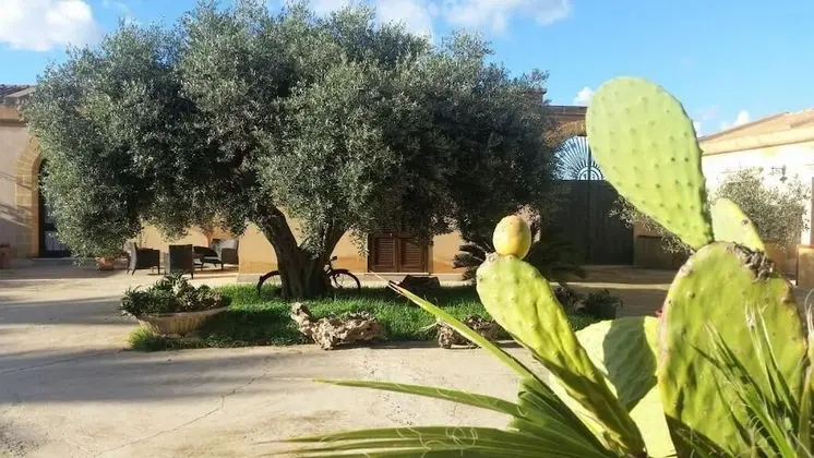 Comfort Tek Büyük Yataklı Oda, Resort Manzaralı