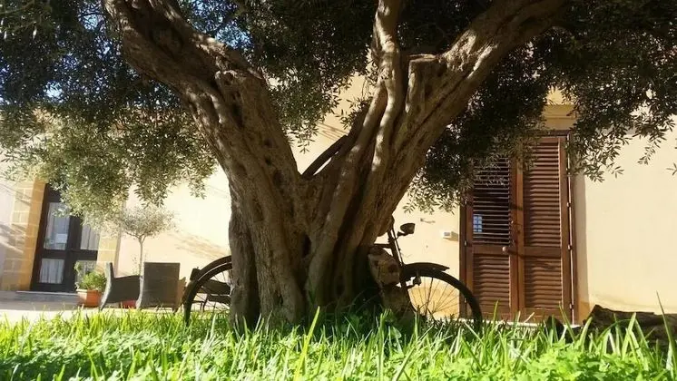 Comfort Tek Kişilik Oda, Resort Manzaralı