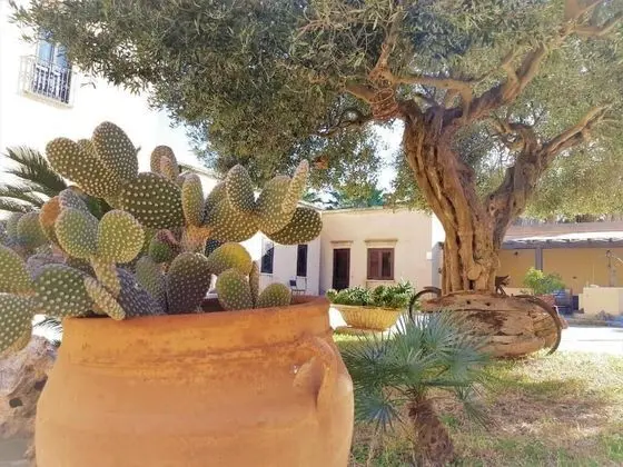 Comfort Üç Kişilik Oda, Resort Manzaralı