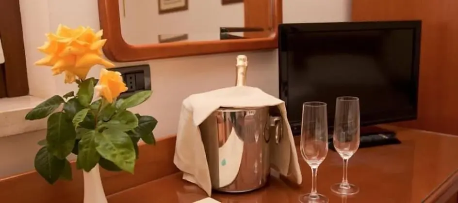 Classic Tek Büyük Yataklı Oda, Engellilere Uygun, Park Manzaralı