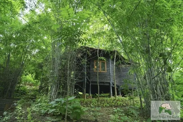 Deluxe Bungalov