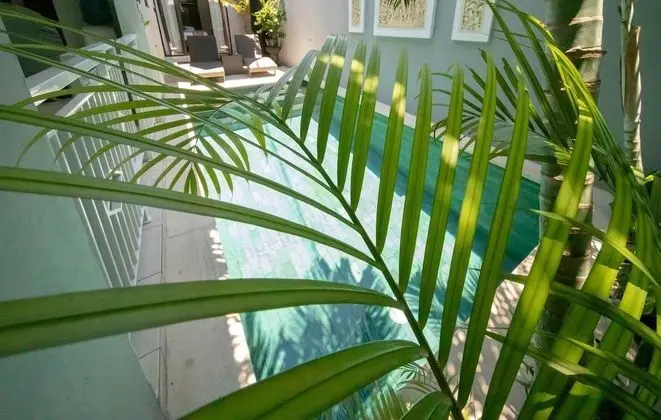 Luxury Villa, 1 Yatak Odası, Sigara İçilebilir, Havuz Manzaralı