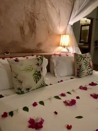 Deluxe Stüdyo Süit