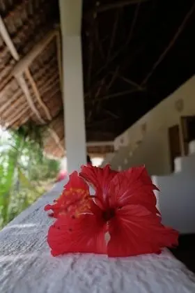 Tek Büyük Yataklı Oda, Okyanus Manzaralı