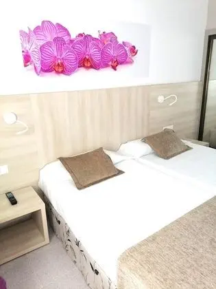Tek Büyük Yataklı Oda, Balkon