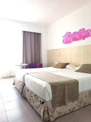 Tek Büyük Yataklı Oda, Balkon, Deniz Manzaralı