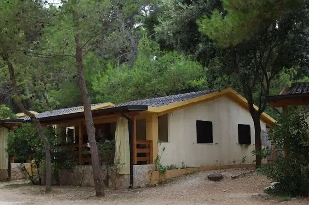 Bungalov, 1 Yatak Odası