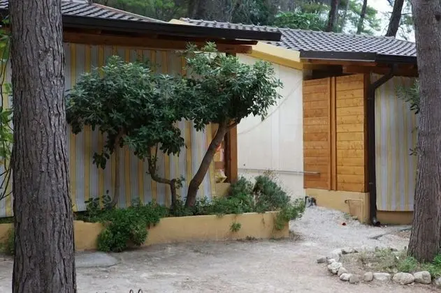 Bungalov, 1 Yatak Odası