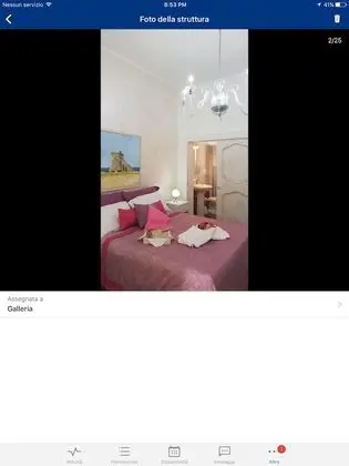 Superior Tek Büyük Yataklı Oda, 1 Yatak Odası