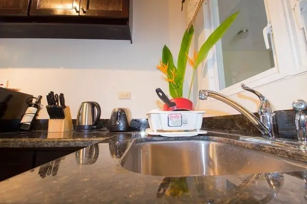 Luxury Apart Daire, 1 Yatak Odası, Şehir Manzaralı