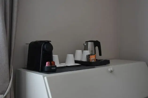 Superior Tek Büyük Yataklı Oda, 1 En Büyük (King) Boy Yatak, Şehir Manzaralı