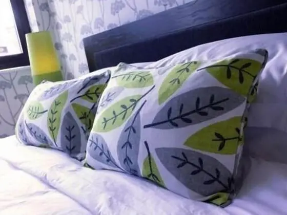 Superior Tek Büyük Yataklı Oda, Banyolu/Duşlu