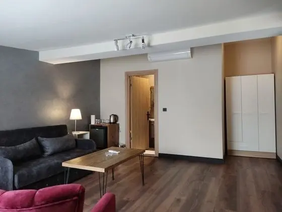 Standard Çatı Katı Süiti (Penthouse)