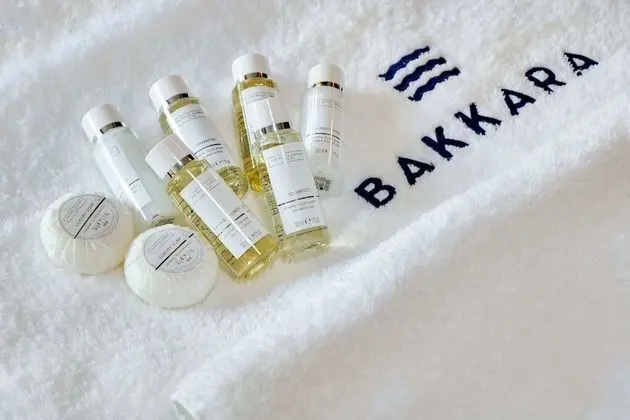 Deluxe Oda, Park Manzaralı
