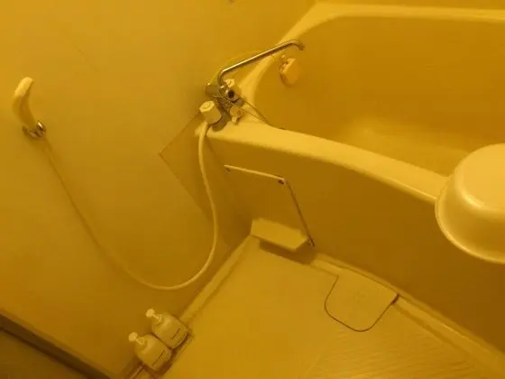 Tek Büyük Yataklı Oda (with Bathroom)
