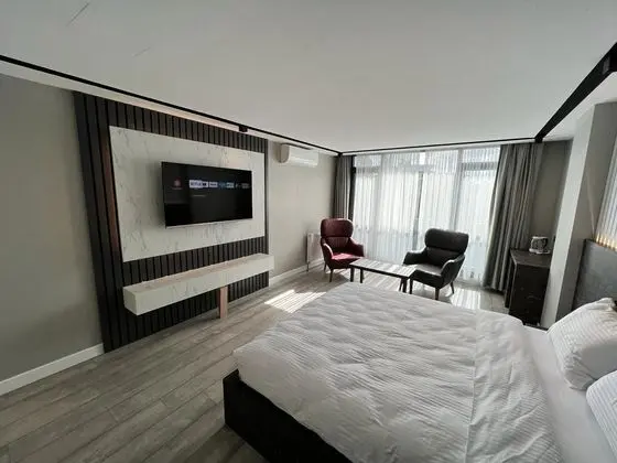 Premium Standart Deluxe Oda, Şehir Manzaralı, Balkonlu veya Fransız Balkonlu