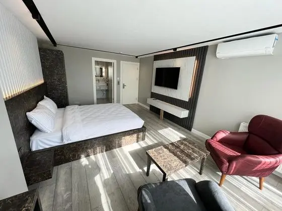 Premium Standart Deluxe Oda, Şehir Manzaralı, Balkonlu veya Fransız Balkonlu