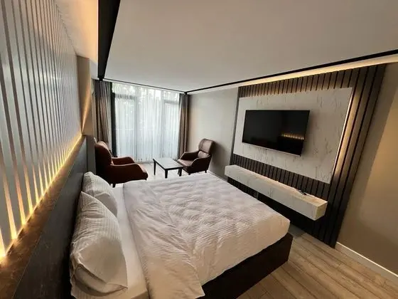 Premium Standart Deluxe Oda, Şehir Manzaralı, Balkonlu veya Fransız Balkonlu