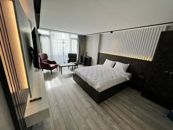 Premium Standart Deluxe Oda, Şehir Manzaralı, Balkonlu veya Fransız Balkonlu