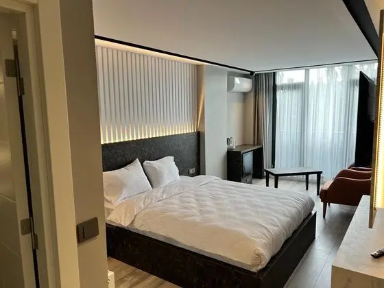Premium Standart Deluxe Oda, Şehir Manzaralı, Balkonlu veya Fransız Balkonlu