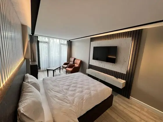 Premium Standart Deluxe Oda, Şehir Manzaralı, Balkonlu veya Fransız Balkonlu