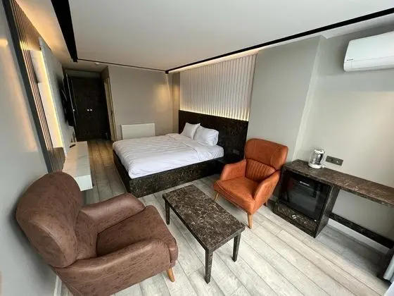 Premium Standart Deluxe Oda, Şehir Manzaralı, Balkonlu veya Fransız Balkonlu