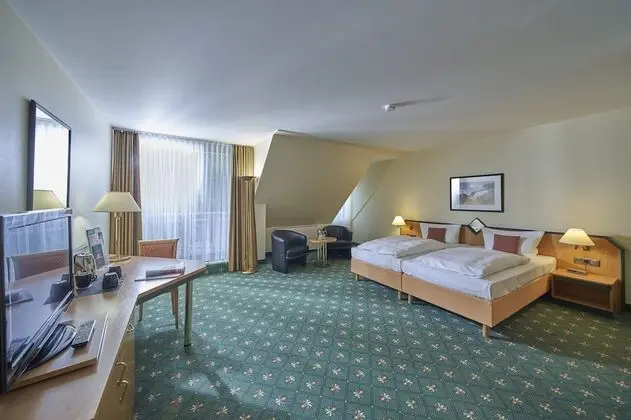 Comfort Tek Büyük Yataklı Oda, Bahçe Manzaralı