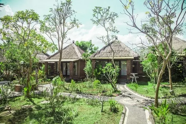 Superior Bungalov, Teras, Bahçe Manzaralı