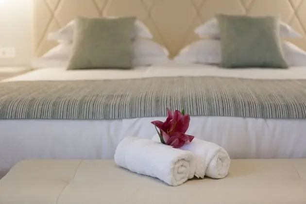 Deluxe Tek Büyük veya İki Ayrı Yataklı Oda, Şehir Manzaralı (106)