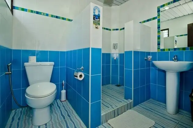 Deluxe Tek Büyük Yataklı Oda, 1 Büyük (Queen) Boy Yatak, Özel Banyo