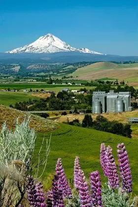 Süit, 1 En Büyük (King) Boy Yatak, Jakuzi