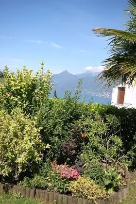 Family Oda, 2 Yatak Odası, Göl Manzaralı