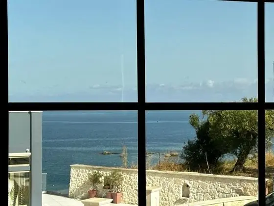 Executive Tek Büyük Yataklı Oda