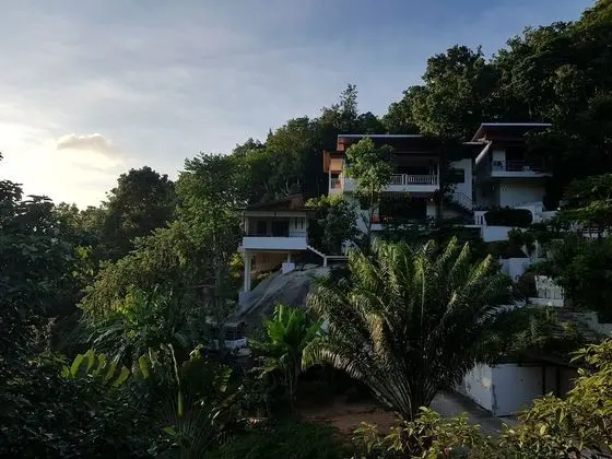 Luxury Oda, Küçük Mutfak, Deniz Manzaralı