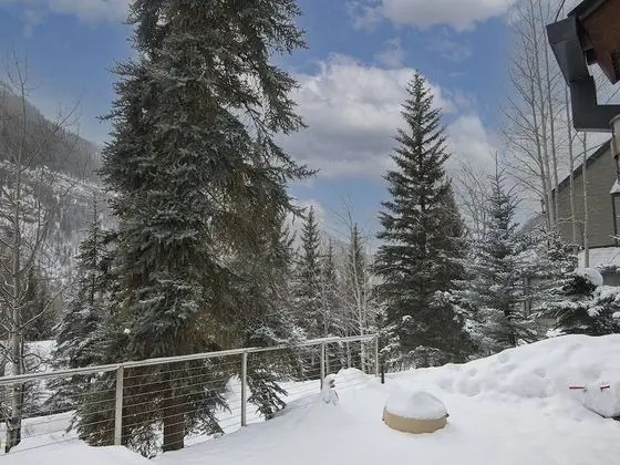 Ev (Bald Mt Home)