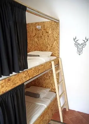 Ortak Ranzalı Oda, Karma Ranzalı Oda, Ortak Banyo (1 bed in 4 bed Dorm)