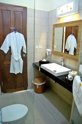 Deluxe Tek Büyük Yataklı Oda, Havuz Kullanımı