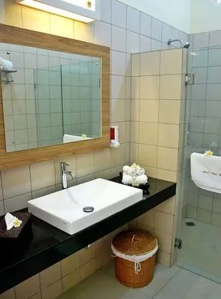 Deluxe Tek Büyük Yataklı Oda, Havuz Kullanımı