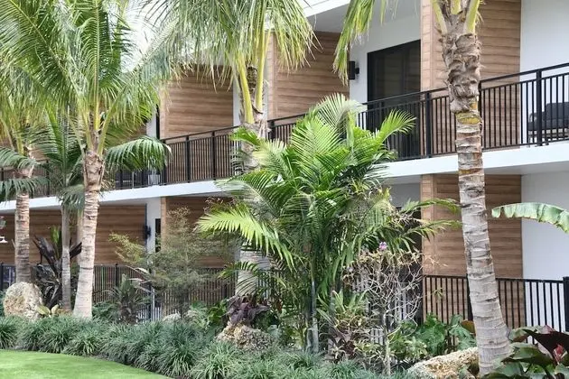Luxury Beachside 1 Bedroom King Suite