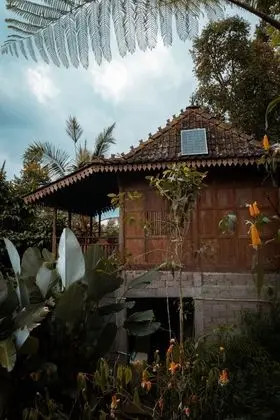 Deluxe Kır Evi