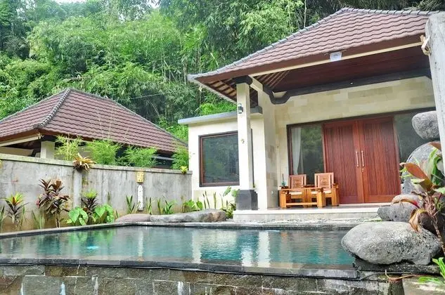 Deluxe Villa, Kişiye Özel Havuzlu