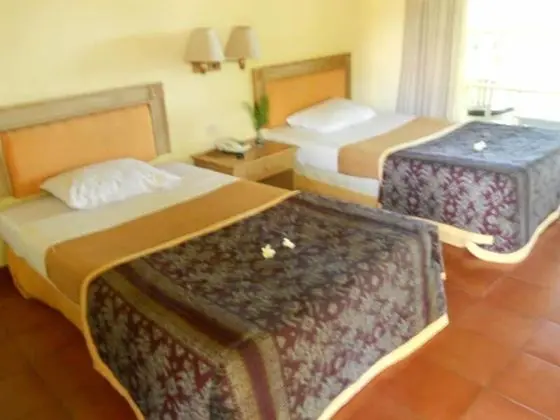 Deluxe Tek Büyük veya İki Ayrı Yataklı Oda