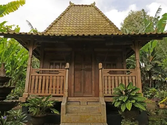 Superior Bungalov