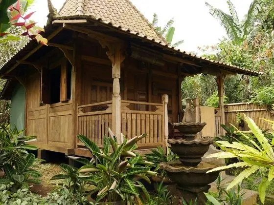 Superior Bungalov