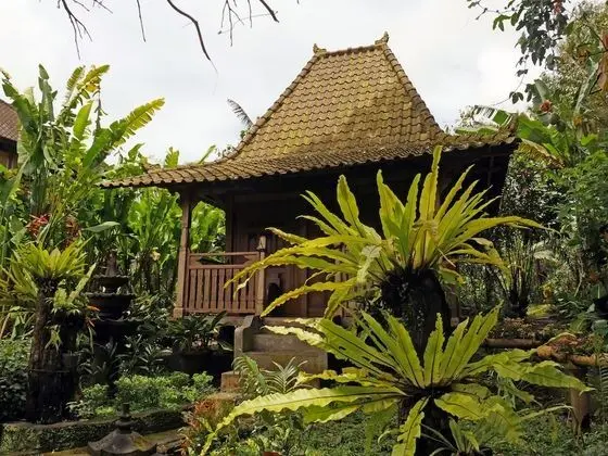 Superior Bungalov