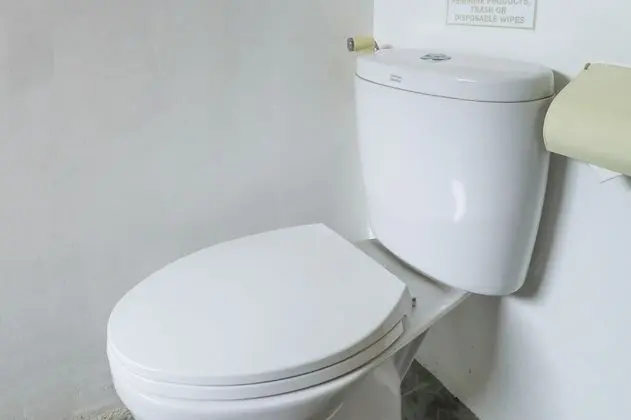 Deluxe Oda, Teras