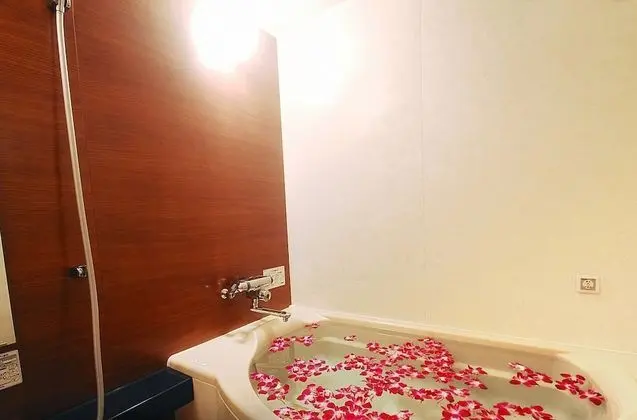 Superior Tek Büyük Yataklı Oda, Sigara İçilebilir